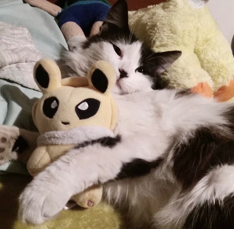 LUNA 