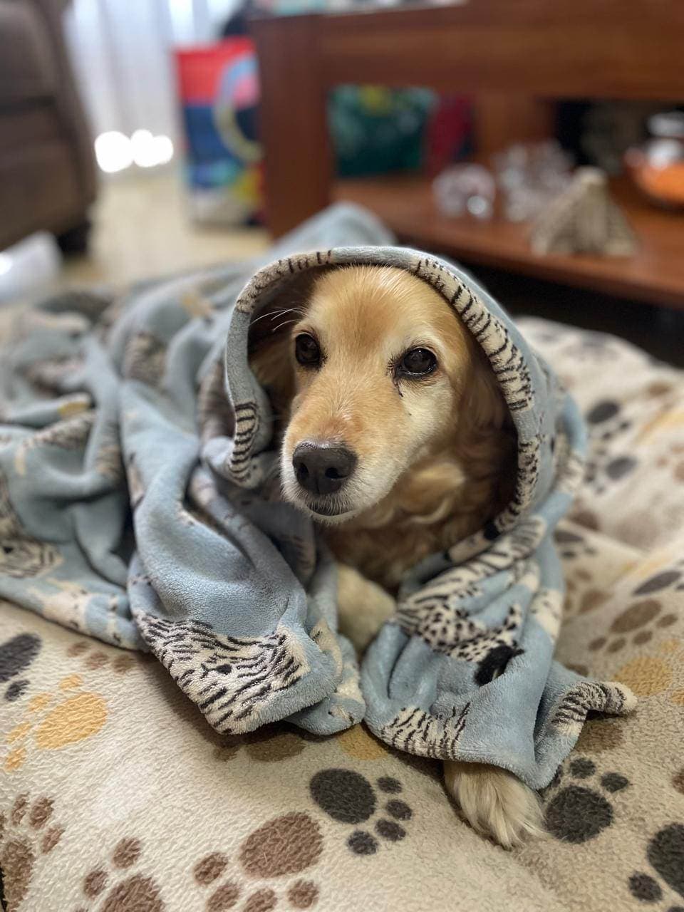 Blanquita